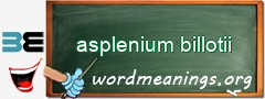 WordMeaning blackboard for asplenium billotii